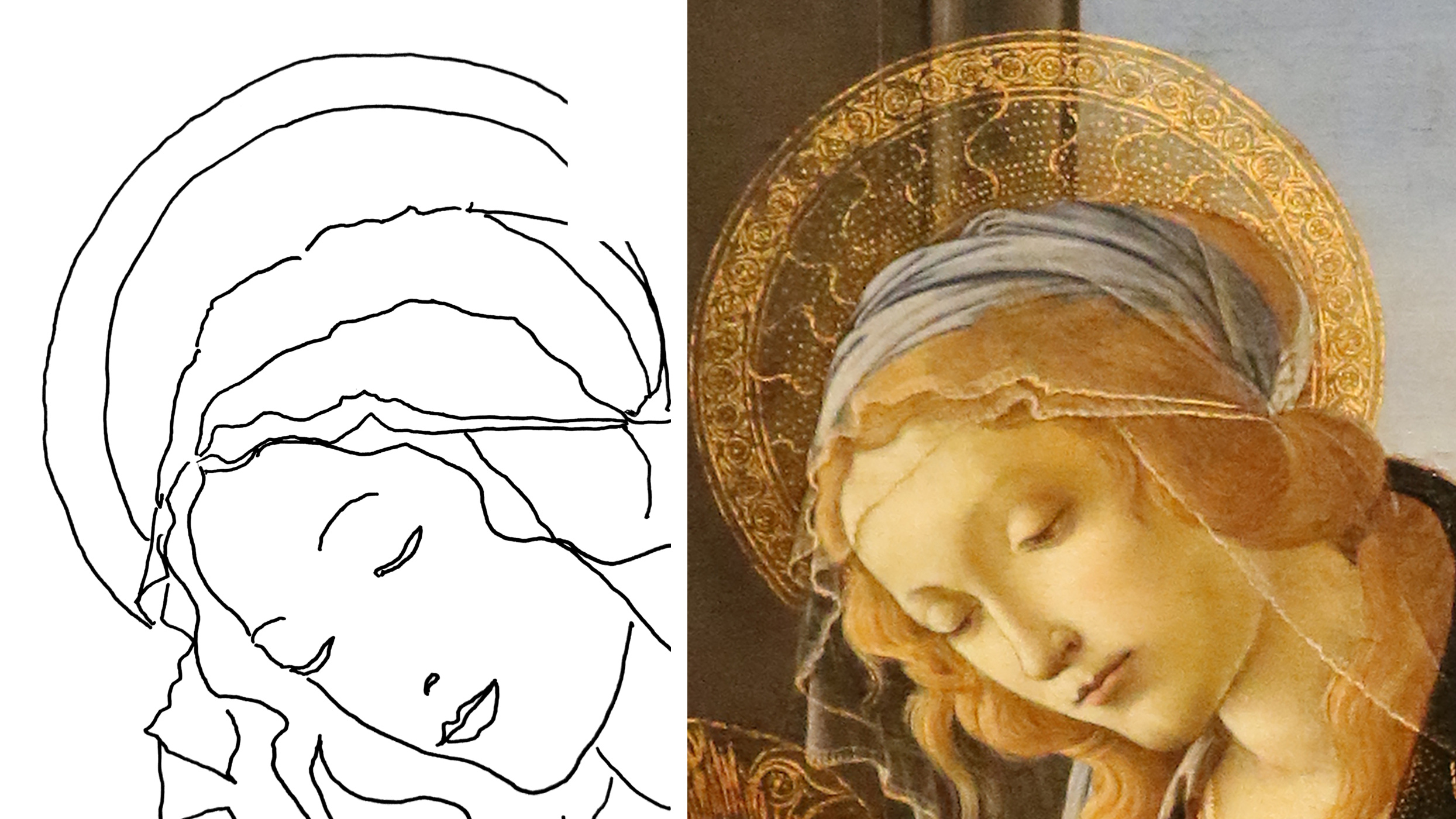 My tracing of the Madonna's head beside Botticelli's Madonna del Libro
