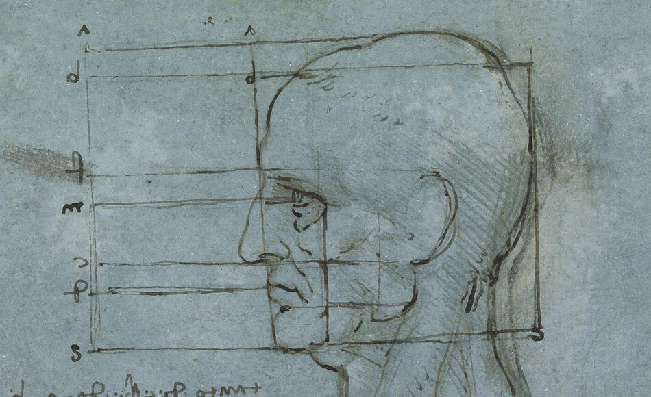 Leonardo's proportion study of a head in profile