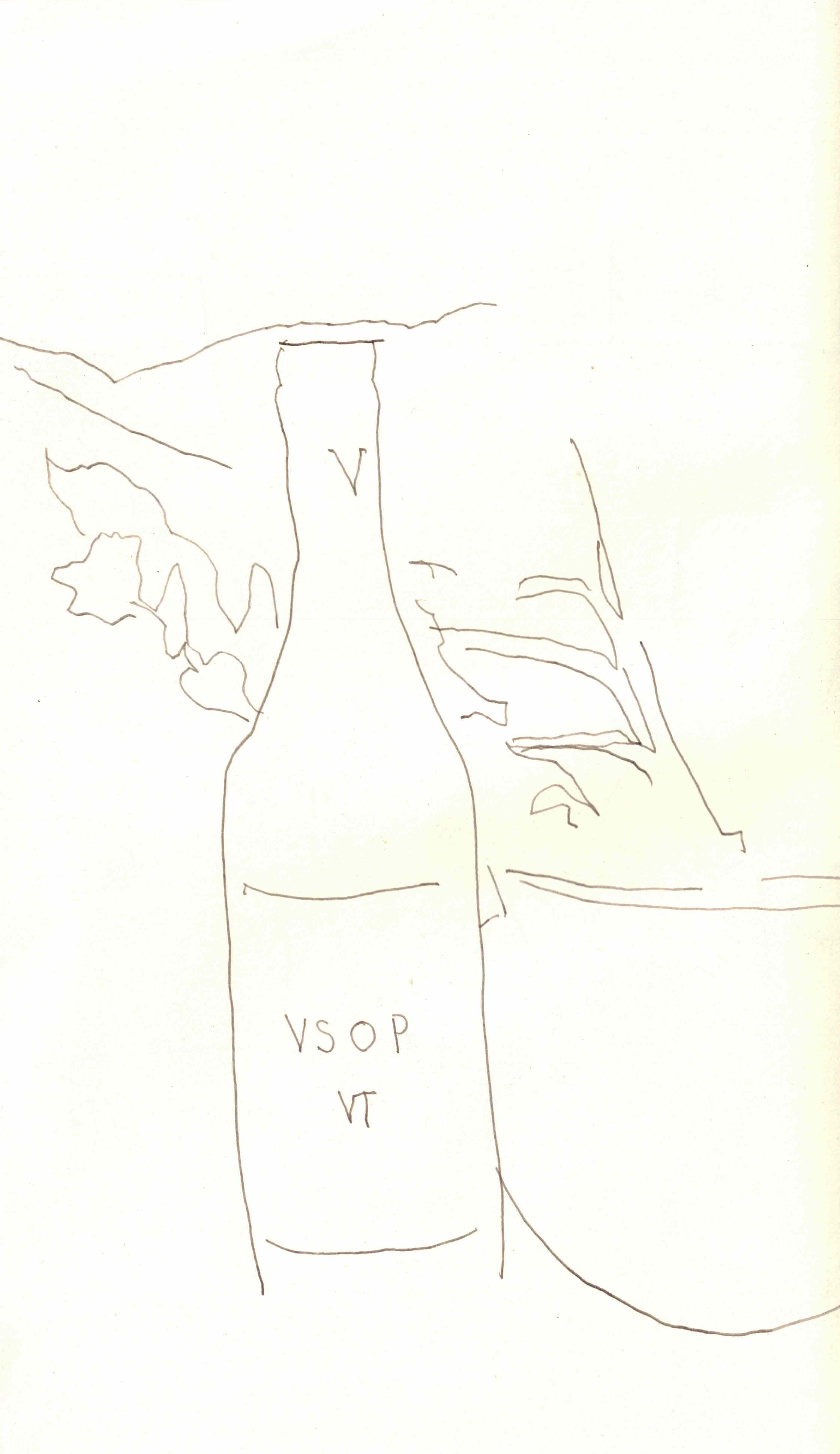 Still life, Vallein Tercinier VSOP on the patio, 7.3